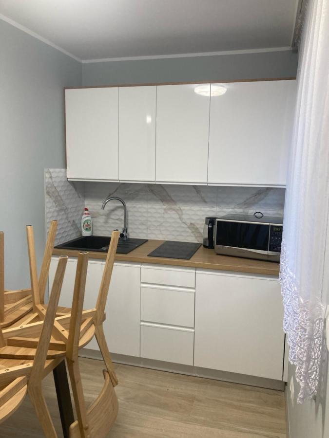 Apartament Mis ザコパネ エクステリア 写真
